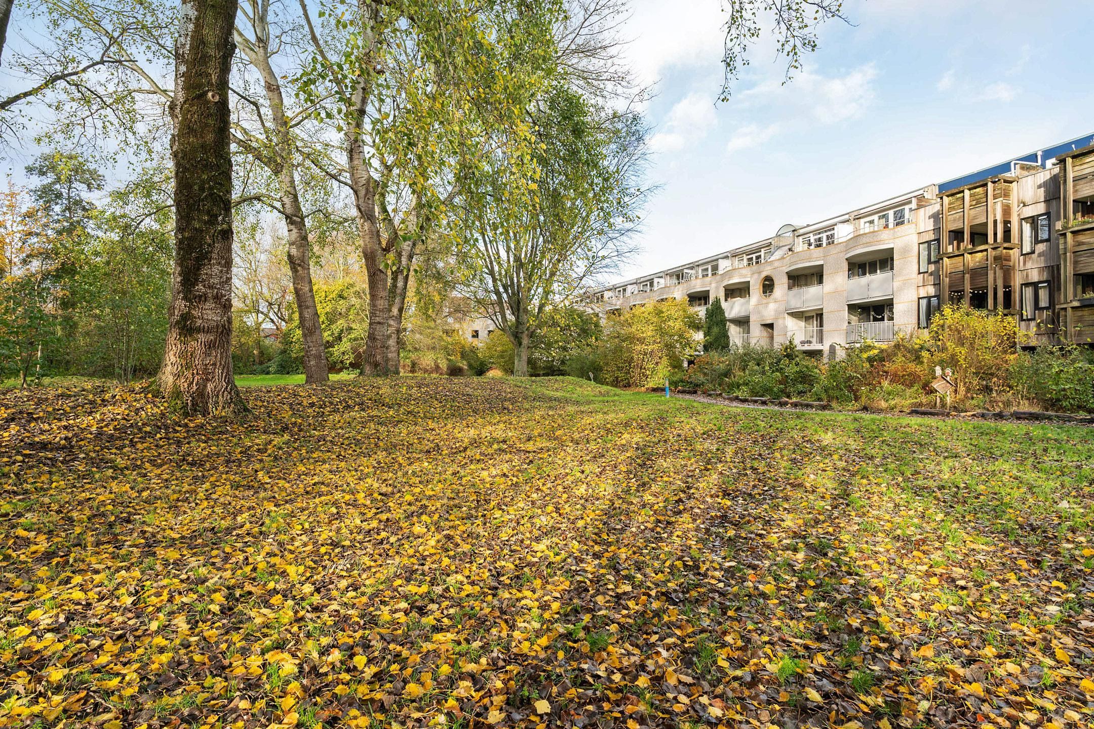 Foto 45 van Vuurdoornpark 14