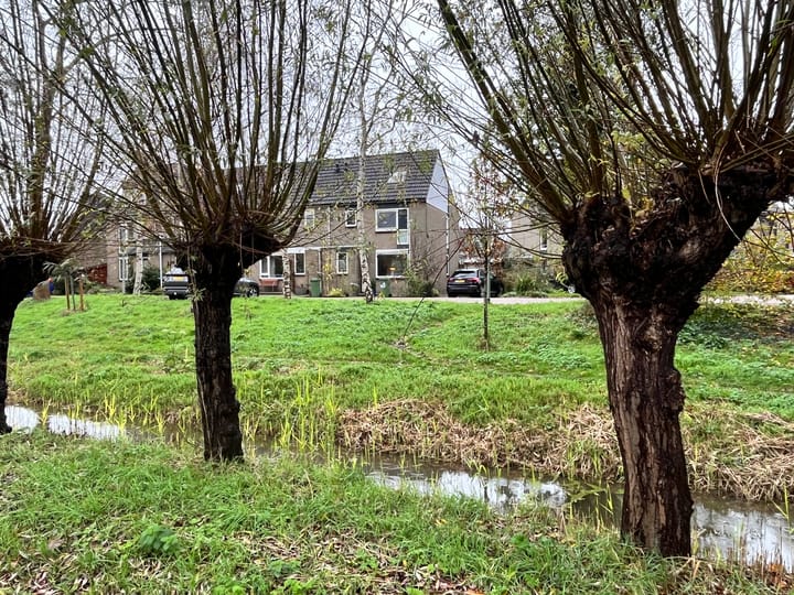 Photo 39 of Hazelaardreef 27