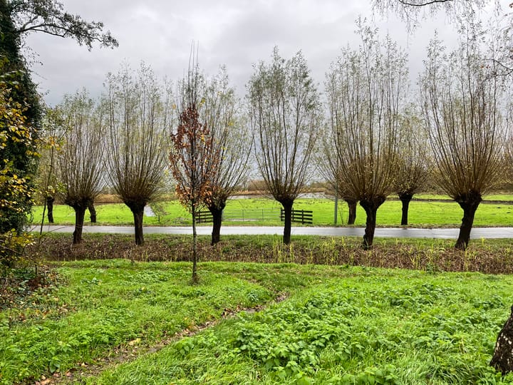 Photo 43 of Hazelaardreef 27