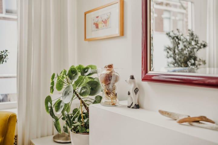 Photo 5 of Tetterodestraat 41