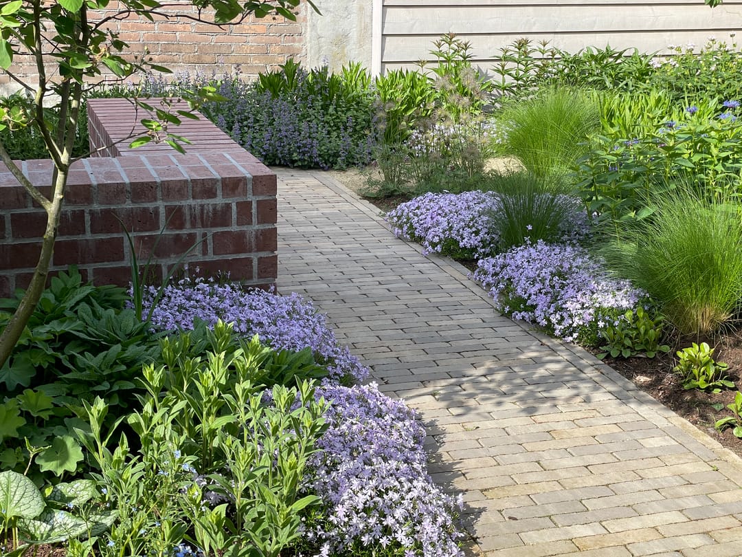 Photo 37 of Pastoor Janssenstraat 3