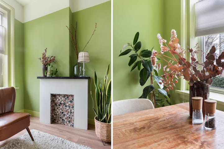 Foto 5 van Troelstraweg 34