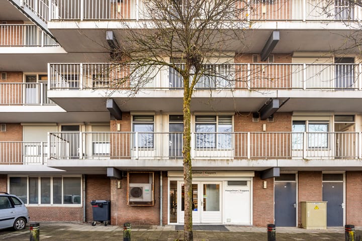 Foto 3 van Maaspoortweg 323