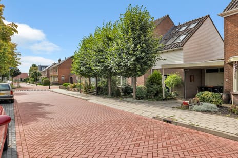 Esdoornlaan thumbnail