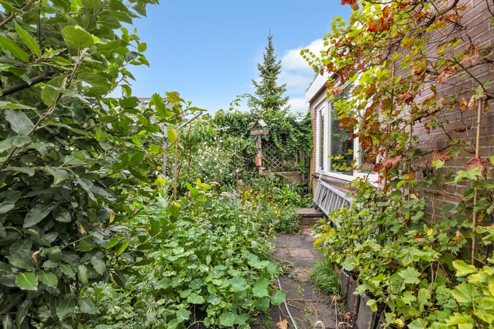 Photo 37 of Esdoornlaan 18