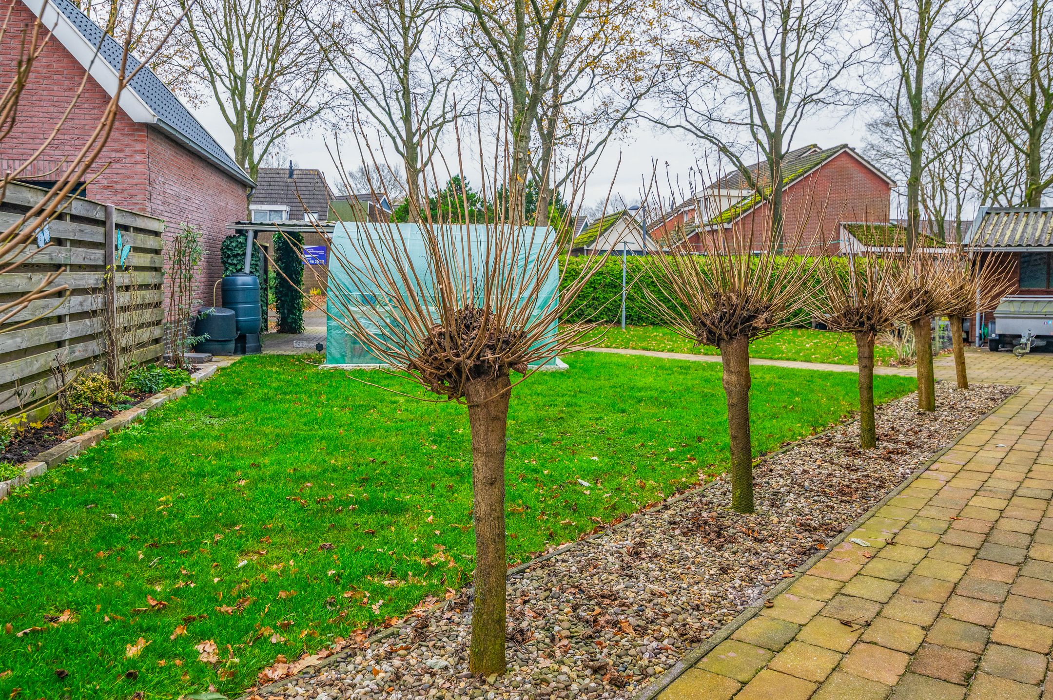 Foto 18 van Expansielaan 16