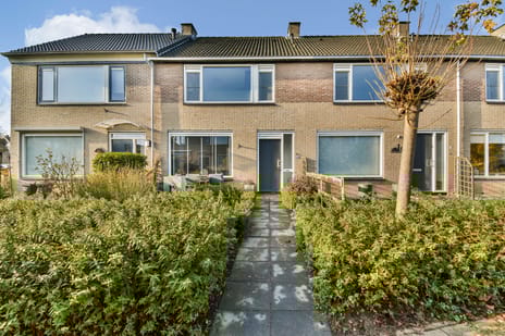 Populierendreef thumbnail