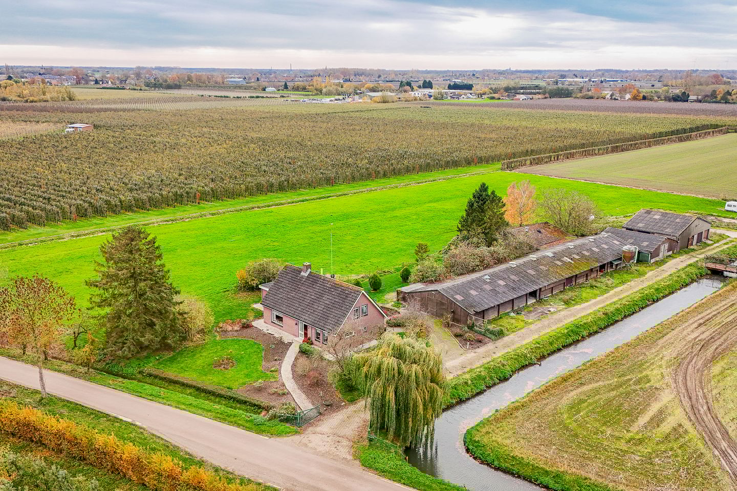 Bekijk foto 1 van Uilenburgsestraat 31-a