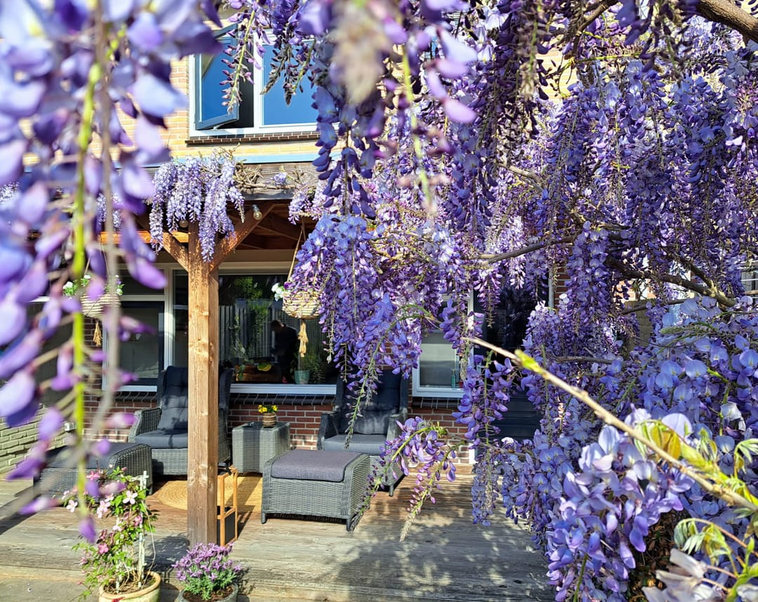 Foto 23 van Operettestraat 28