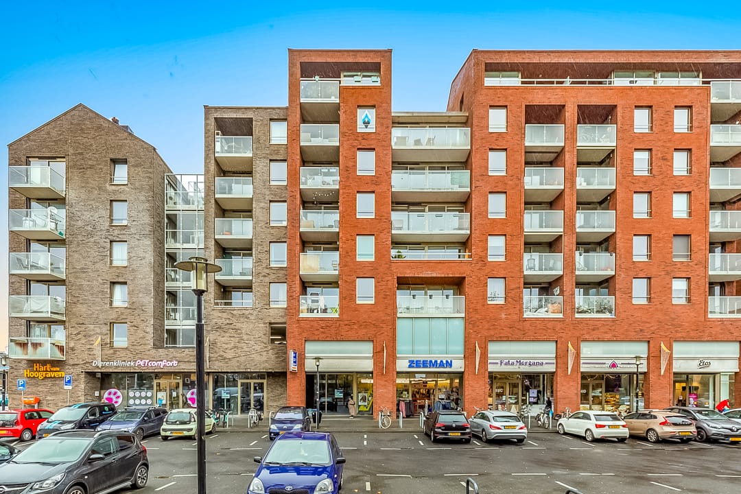 Foto 1 van Heemstedelaan 101