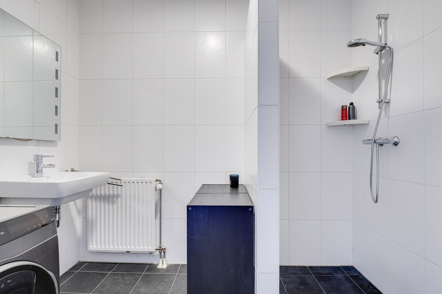 Foto 4 van Heemstedelaan 101