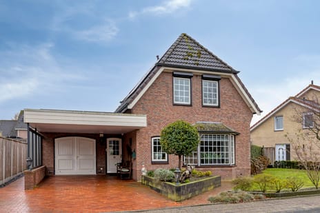 Duizendblad thumbnail