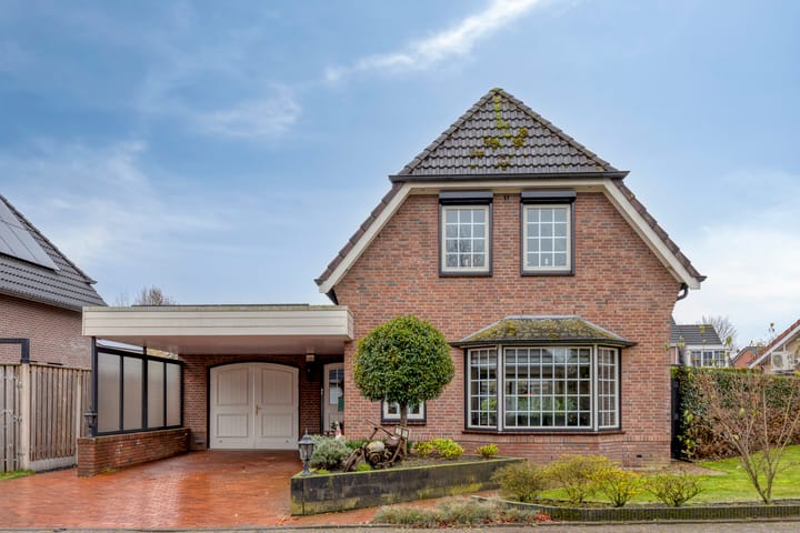 Foto 5 van Duizendblad 17