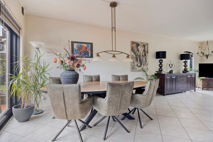 Foto 10 van Duizendblad 17