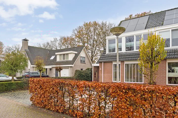 Foto 52 van De Tippe 8