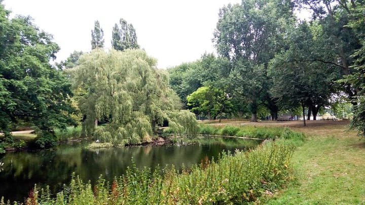 Foto 40 van Pirolastraat 51