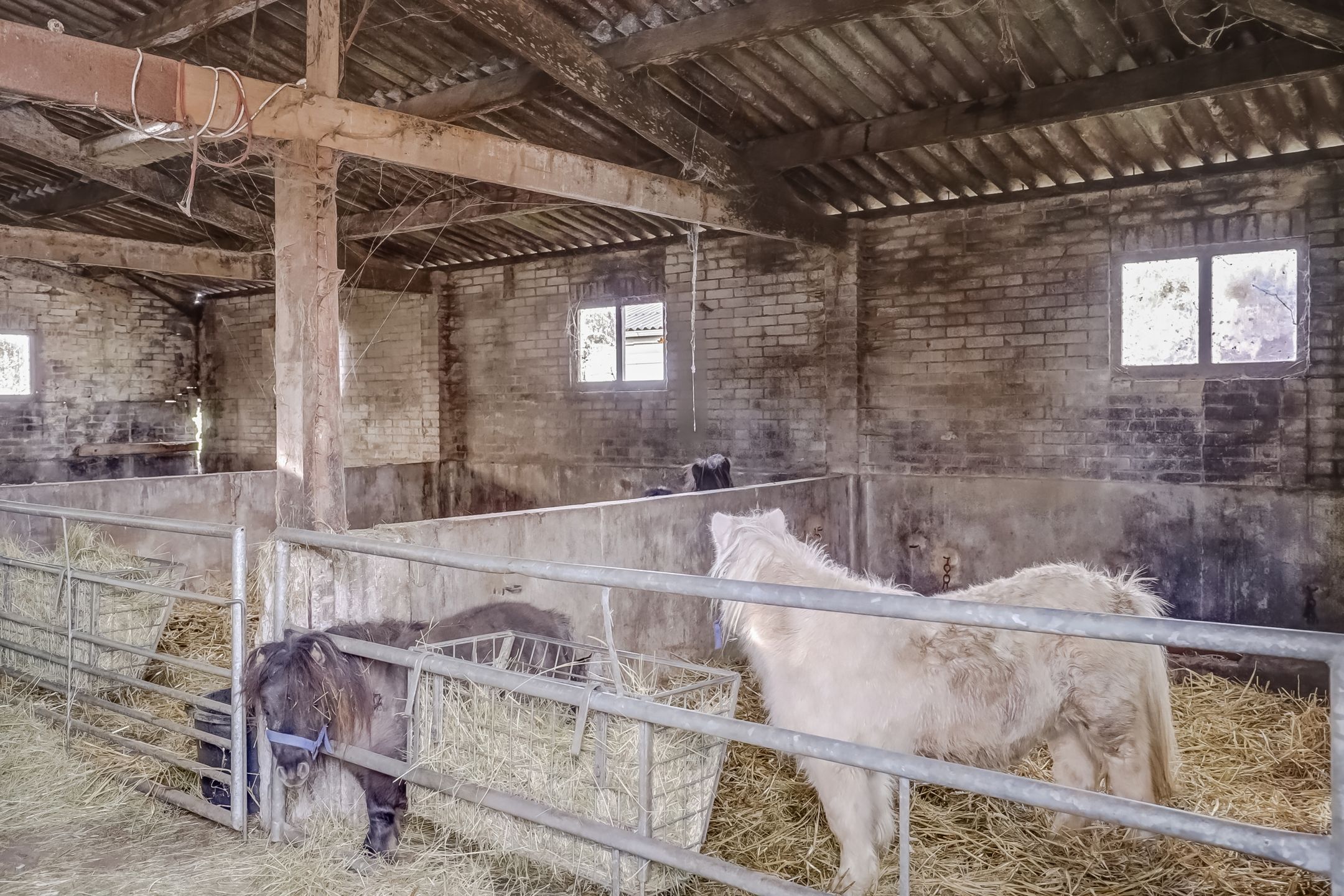 Photo 42 of Weijpoort 70