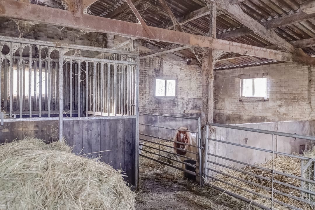 Photo 43 of Weijpoort 70