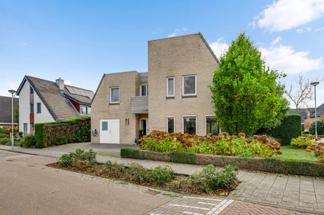 Vlasrootsingel thumbnail