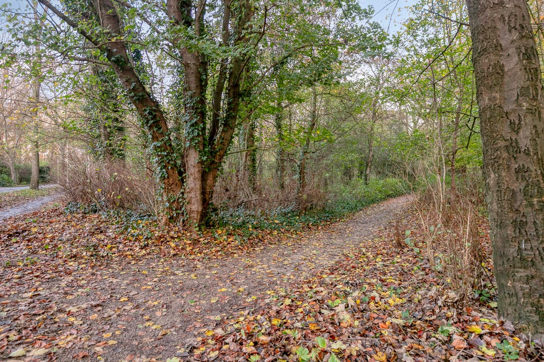 Photo 47 of Westerweg 83