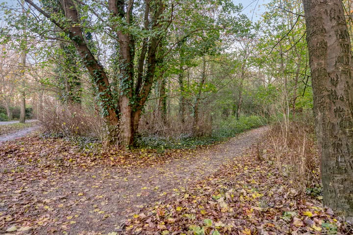 Photo 47 of Westerweg 83