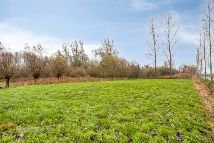 Photo 64 of Knapersven 19