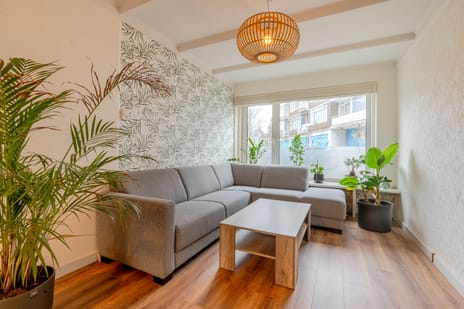 Texelsestraat thumbnail