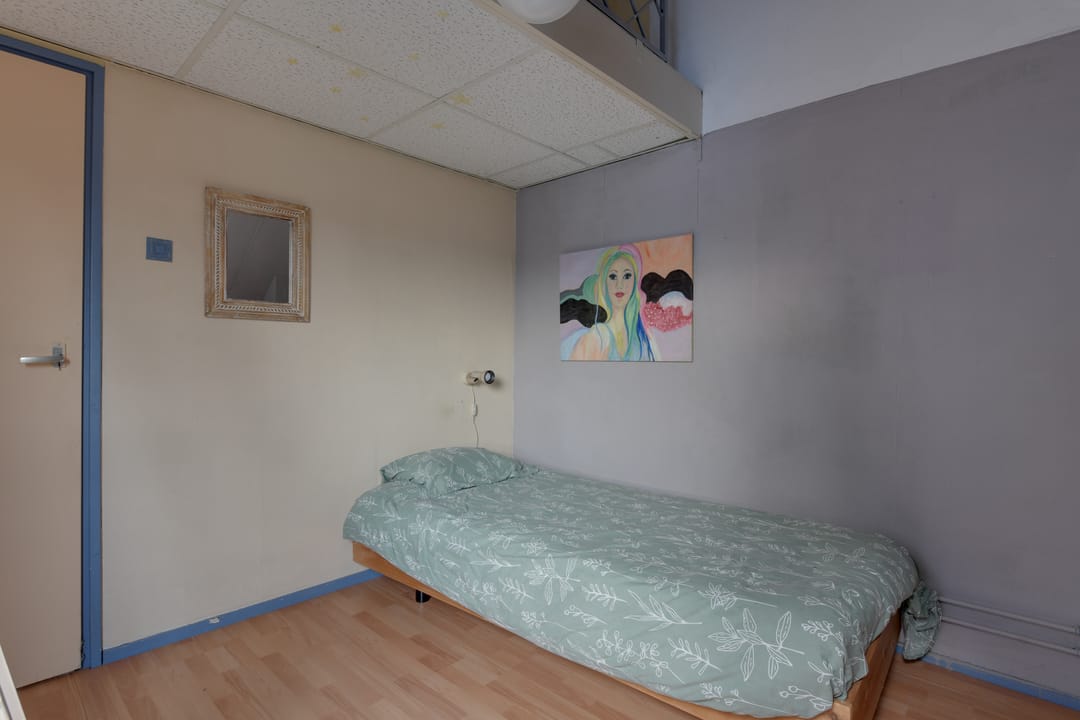 Foto 43 van Breitnerlaan 20