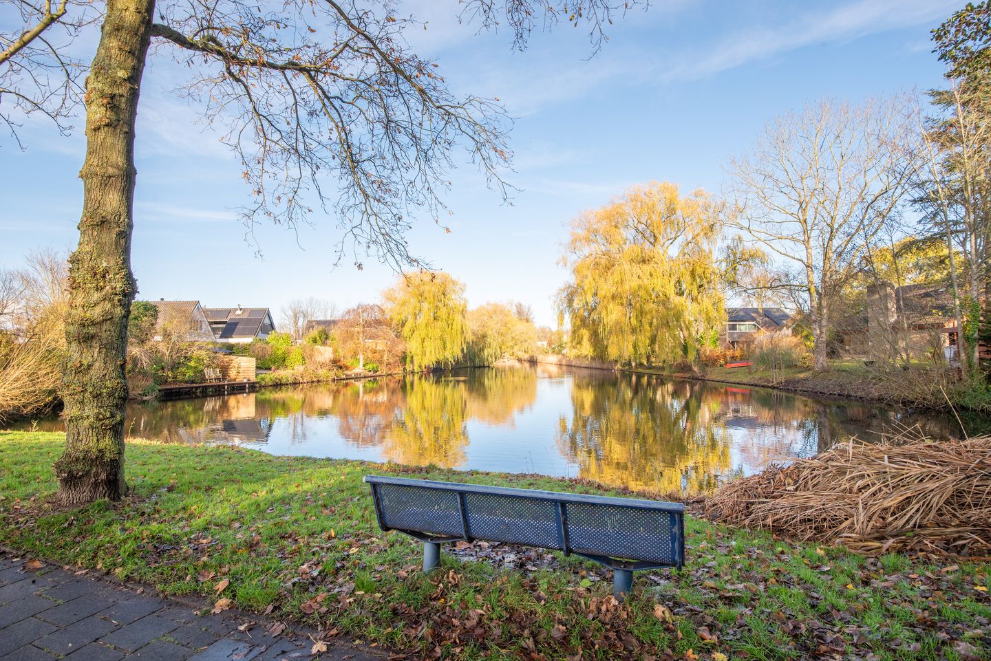 Foto 59 van Breitnerlaan 20