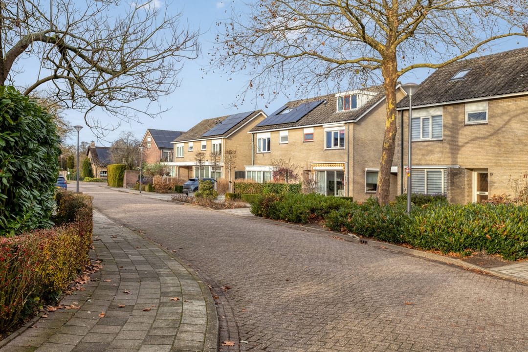 Foto 38 van Ridderspoor 13