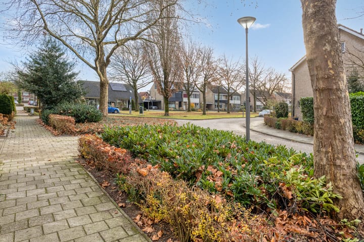 Photo 29 of Ridderspoor 13