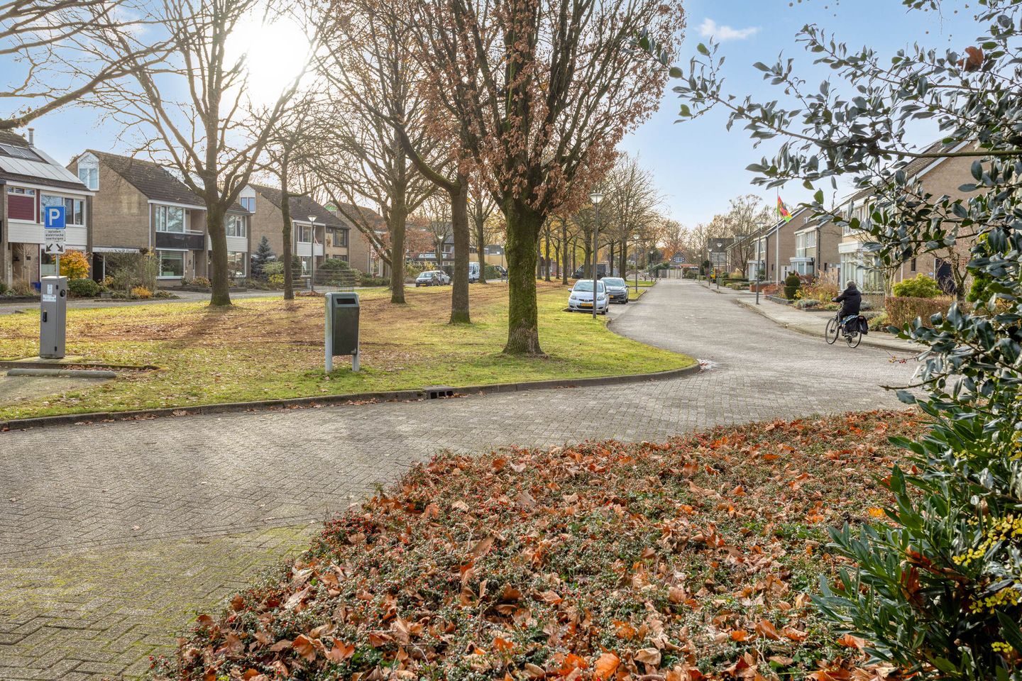 Foto 40 van Ridderspoor 13