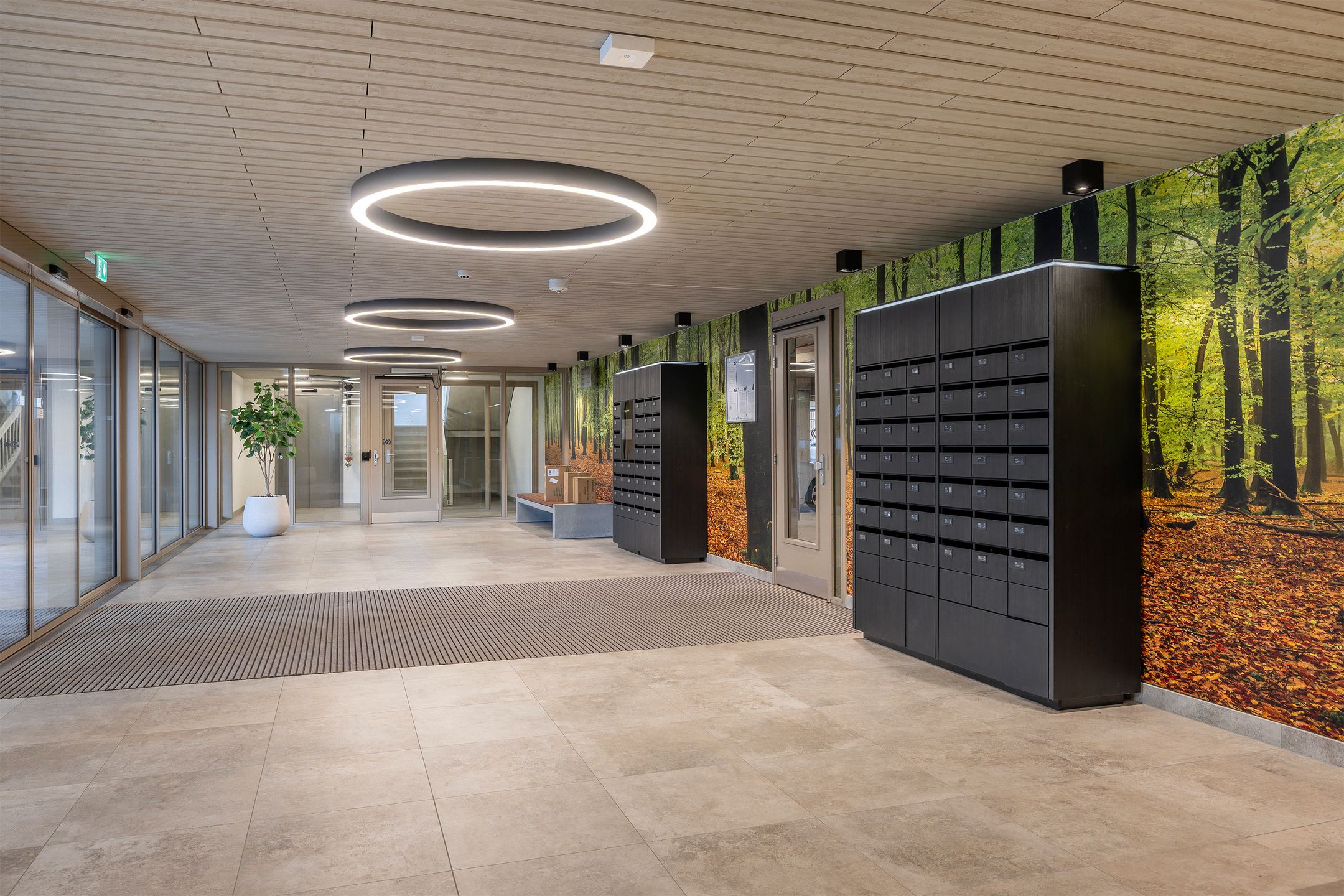 Photo 6 of Nancy Zeelenbergsingel 98