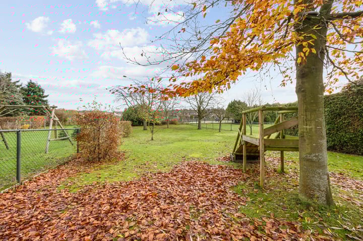 Foto 59 van Schellaertstraat 25