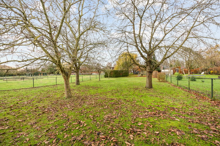 Foto 60 van Schellaertstraat 25