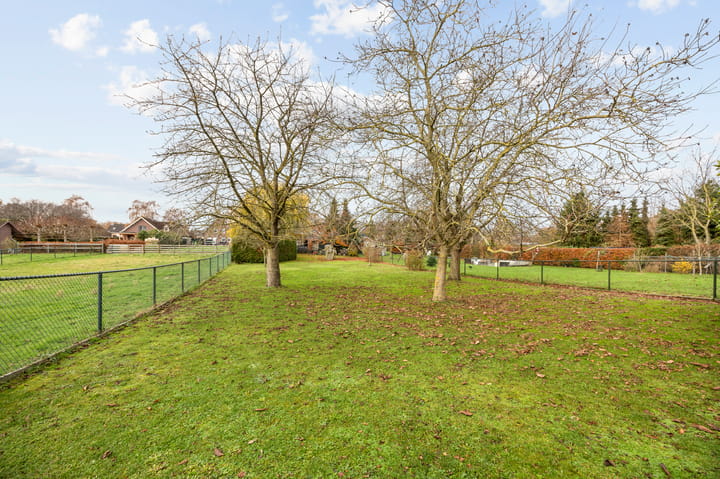 Foto 61 van Schellaertstraat 25