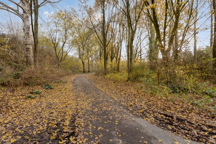 Foto 31 van Mezenlaan 43