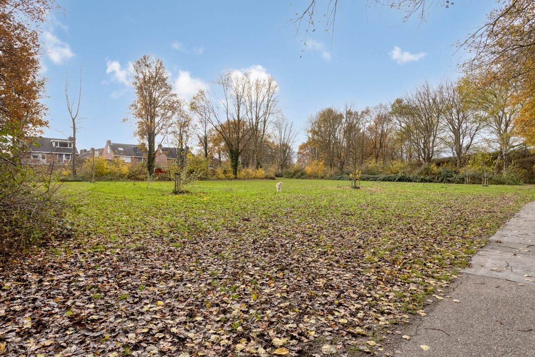 Foto 32 van Mezenlaan 43