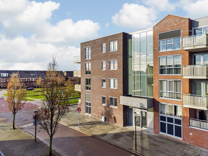 Foto 28 van Jan Doustraat 64