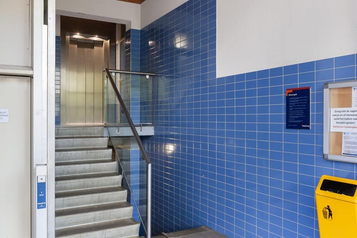 Foto 19 van Dommeringdreef 215