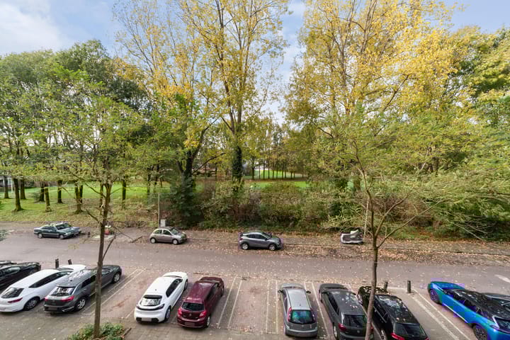 Foto 21 van Dommeringdreef 215