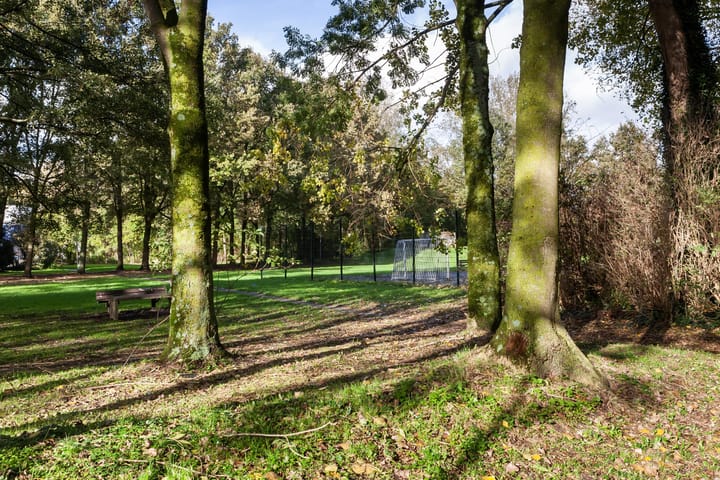 Foto 22 van Dommeringdreef 215