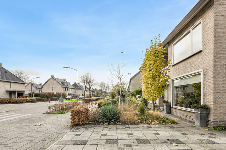 Foto 50 van Langelaar 36