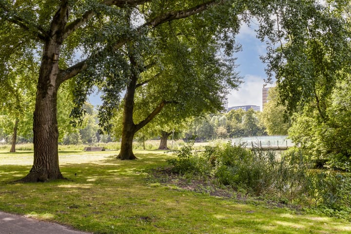 Foto 27 van Orteliusstraat 138-E