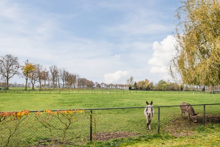 Foto 45 van Jekschotstraat 11-A