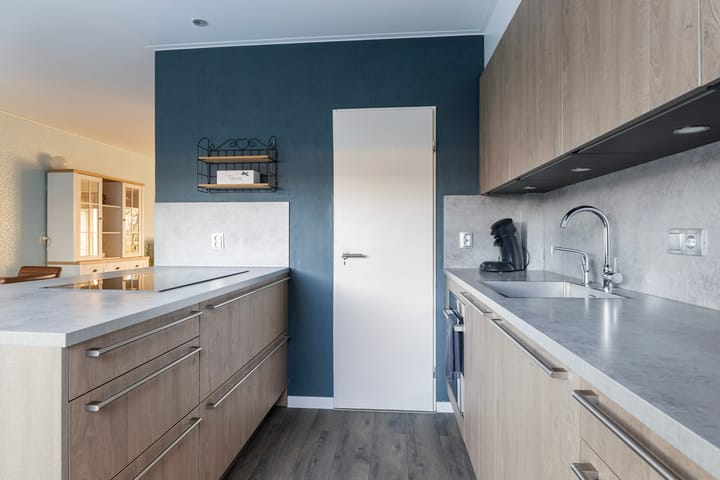 Photo 3 of Jan Jelles Hofleane 103