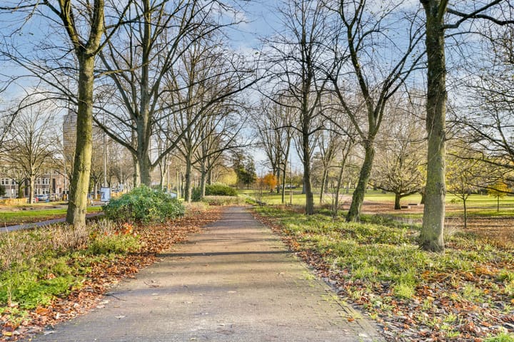 Foto 24 van Rijnstraat 238-3