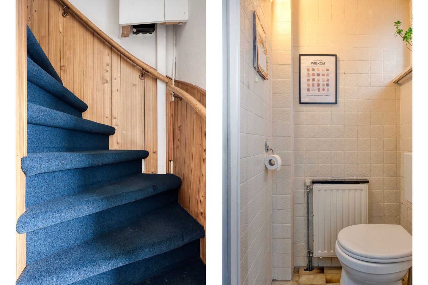 Foto 4 van Wolfshoofdplein 97