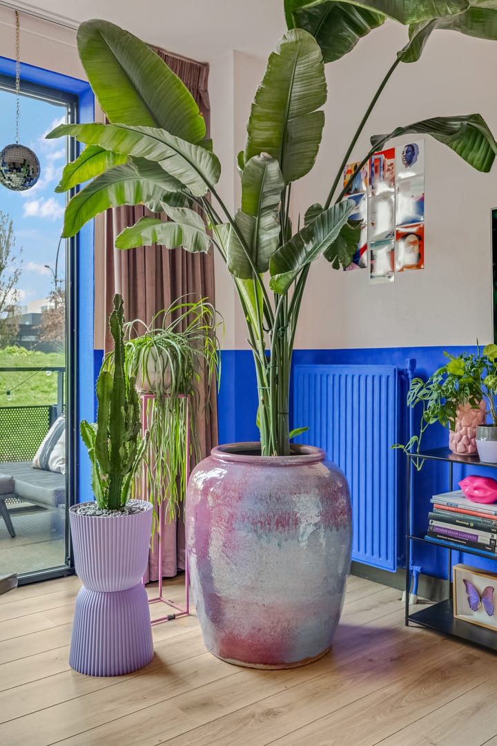 Foto 8 van Aardmansberg 3