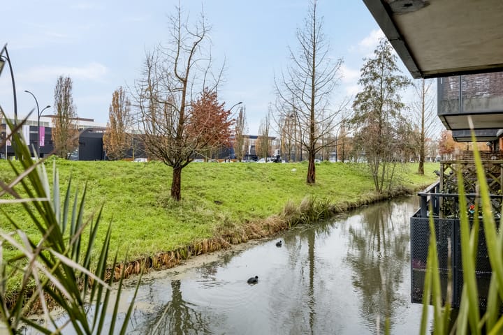 Foto 11 van Aardmansberg 3